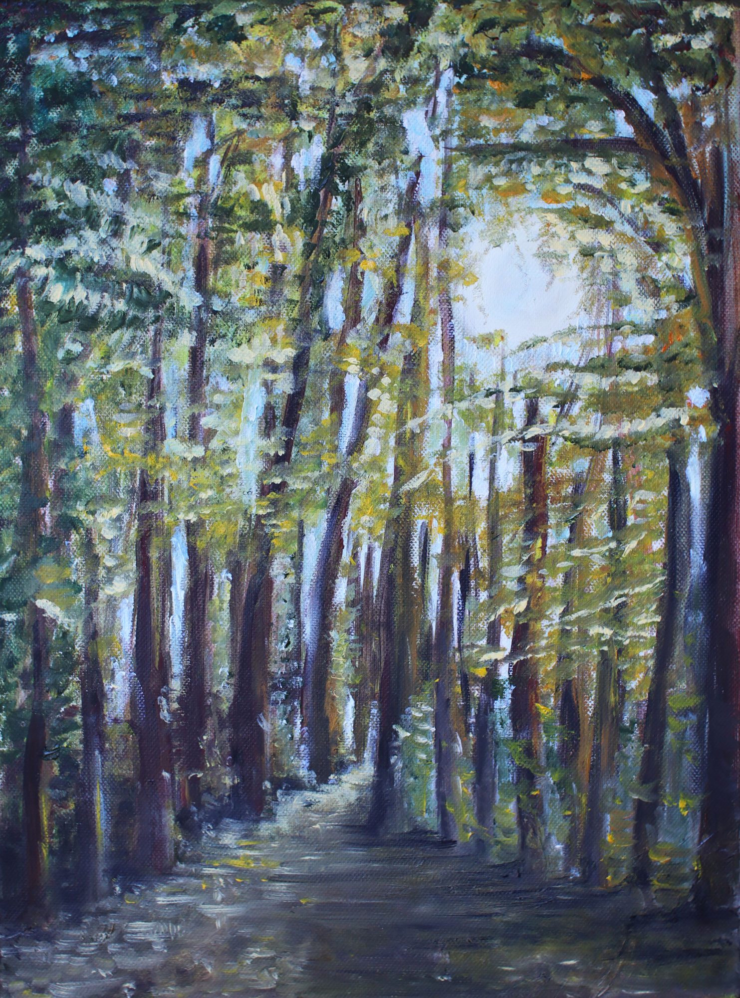 Ścieżka na Barbarkę